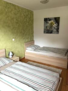 2 Betten in einem Zimmer mit grünen Wänden in der Unterkunft Apartma NEVA in Bohinj