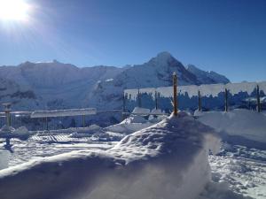 Berggasthaus First - Only Accessible by Cable Car durante el invierno
