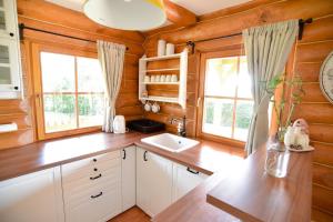 a kitchen with wooden walls and a sink and windows at Kuća lješnjaka in Ludbreg