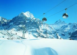 Berggasthaus First - Only Accessible by Cable Car durante el invierno