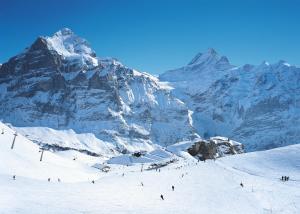Berggasthaus First - Only Accessible by Cable Car durante el invierno