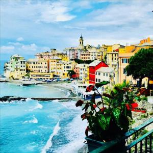 Foto dalla galleria di Cav Gli Ulivi di Bogliasco parcheggio privato gratuito a Bogliasco
