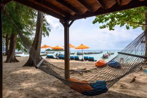 een hangmat op het strand met stoelen en parasols bij Wapi Resort in Ko Lipe