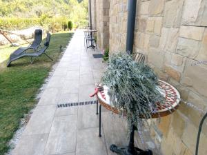 a patio with a table with plants on it at Boomerang Guest House in Apriltsi