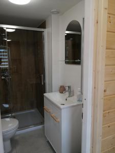 a bathroom with a sink and a shower and a toilet at Pogodny Domek in Mielno