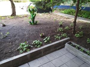 einen Garten mit einem grünen Feuerhydranten mit Blumen darin in der Unterkunft Hotel Rositsa in Weliko Tarnowo