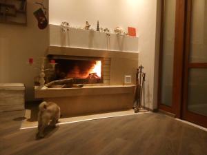 Φωτογραφία από το άλμπουμ του Boomerang Guest House σε Apriltsi +48 φωτογραφίες