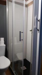 W łazience znajduje się przeszklony prysznic i toaleta. w obiekcie Albergue Kortarixar w mieście Elizondo