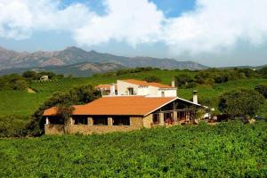 a house in the middle of a green field at Agriturismo Vermentino in Monti +21 photos