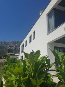 a white building with green plants in front of it at LUXURY VILLA HELENA in Kaštela