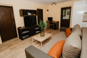 Televízia a/alebo spoločenská miestnosť v ubytovaní Lee house, WI-FI,FREE PARKING, HOT TUBE