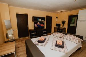 Televízia a/alebo spoločenská miestnosť v ubytovaní Lee house, WI-FI,FREE PARKING, HOT TUBE