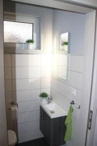 een badkamer met een wastafel en een spiegel bij Gaestehaus-Alte-Druckerei-Wetzlar in Wetzlar