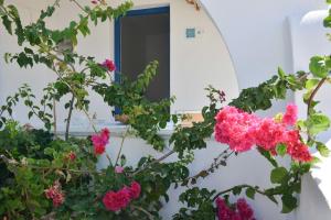 Zahrada ubytování Kastraki Dunes Naxos