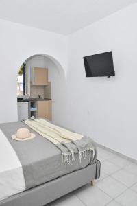 TV a/nebo společenská místnost v ubytování Kastraki Dunes Naxos