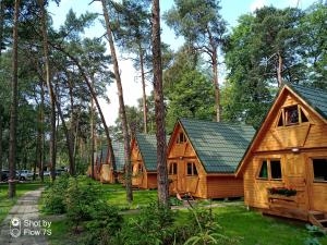 a row of wooden cabins in the woods at Sławska Poręba in Sława