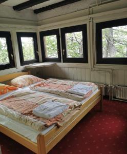 um quarto com uma cama num quarto com janelas em Chalet Ruša em Bohinj
