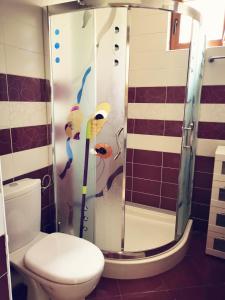 a shower with a toilet in a bathroom at Private Apartment in Grand Monastery in Pamporovo