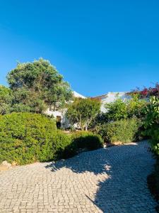 a cobblestone walkway in a yard with trees at Dona Maria 66 in Luz
