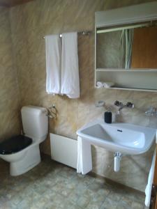 bagno con lavandino bianco e servizi igienici di Ferien Cottage Flüehblüemli a Stechelberg