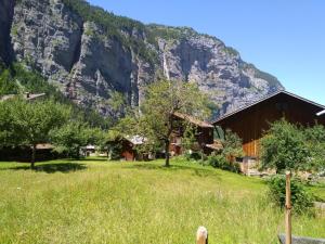 a barn in a field with a mountain in the background at Ferien Cottage Flüehblüemli in Stechelberg