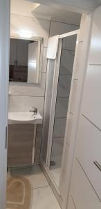 Koupelna v ubytování Apartment Marko
