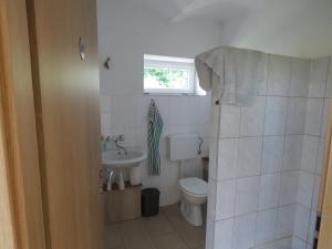 a bathroom with a toilet and a sink at Mill House Apartment and Camping in Ljutomer