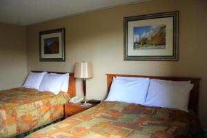 a hotel room with two beds and a lamp at Acorn Motel in Grande Cache