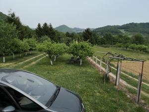 une voiture garée à côté d'un vignoble planté d'arbres dans l'établissement Holiday Home Dragon, à Visoko