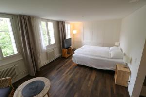 una camera d'albergo con un letto e una televisione di EMMA Bett und Bistro a Winterthur