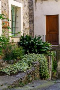 Vonkajšia záhrada v ubytovaní Arvé Castelbianco - B&B e Appartamento