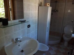 a bathroom with a sink and a toilet at LA BAITA DEL CONTE in San Massimo
