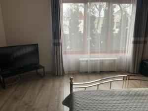 ein Schlafzimmer mit einem Bett und einem Fernseher und einem Fenster in der Unterkunft VirDi House in Morschyn