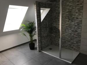 a bathroom with a shower with a plant in it at Maison de village in Laubach
