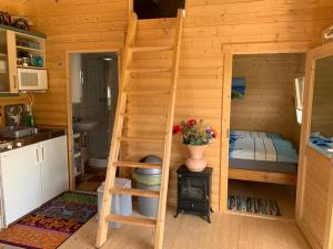 een tiny house met een ladder en een bed bij Ferienhaus Kornhus in Dwasieden