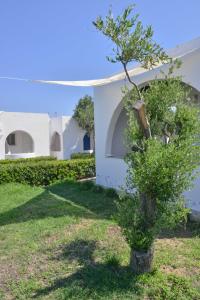 Zahrada ubytování Kastraki Dunes Naxos