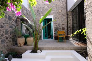 una casa con una planta delante de una puerta en El Patio del Charco– Eine Oase mitten in der Stadt, en Arrecife