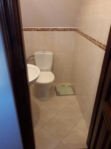 małą łazienkę z toaletą i umywalką w obiekcie Agroturystyka Pasynki 44 w Zabłudowie
