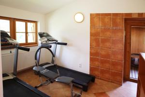 Centrul de fitness și/sau facilități de fitness de la Pajta Villa