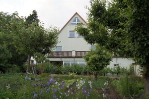 Biały dom z ogrodem przed nim w obiekcie Pension Elbblick Sabine Zuschke w mieście Miśnia