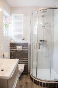 a bathroom with a shower and a toilet and a sink at Apartamenty JustRent Szczyrk in Szczyrk +8 photos
