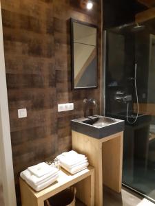 a bathroom with a sink and a mirror at B&B Langeveldemolen in Merchtem