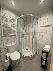 La salle de bains blanche est pourvue d'une douche et de toilettes. dans l'établissement Komoda Tykocin, à Tykocin