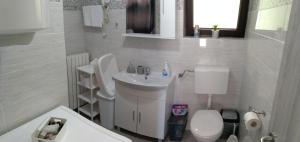 Koupelna v ubytování Apartman Nino
