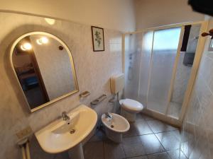 a bathroom with a sink and a toilet and a mirror at Agriturismo Il Burlino Apartments in Lerma