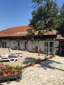 Stefan Stambolovo的住宿－Sunflower Guest House Bulgaria，房屋前有椅子和鲜花