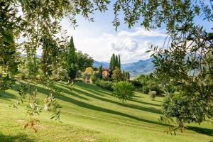 un campo con árboles y una casa a lo lejos en Borgo il Mezzanino en Salò