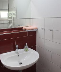 a bathroom with a white sink and a mirror at Ferienhaus Krawulski in Hohnstein