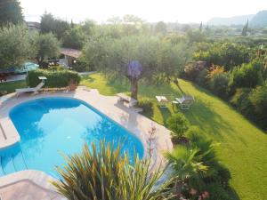 an overhead view of a swimming pool in a garden at FairView in Bardolino