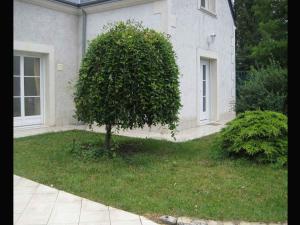 un árbol en el patio de una casa en Les Agapanthes La Riche en La Riche